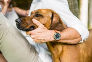 Някои обичат домашните си любимци повече, отколкото обичат хората