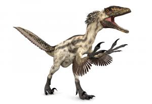 Първите птици са имали четири крила