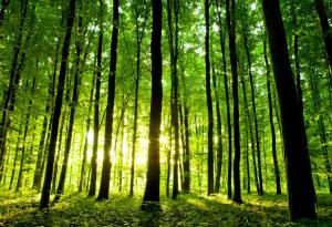 9 неща, които ще ви отпуснат в напрегнат момент