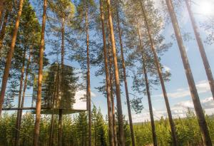 Добре дошли в огледалния хотел в Швеция