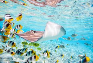 10 плажа с кристално чиста вода