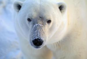 24 от най-любопитните факти на света