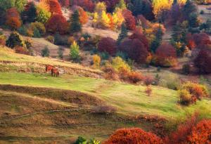 20 снимки, разкриващи красотата на есента в България