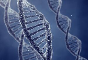 Заснеха за първи път репликацията на ДНК