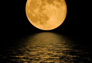 Очакваме да видим рекордно голяма супер Луна – най-голямата от 70 години