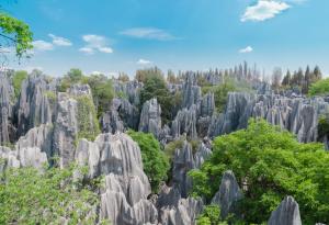 Каменната гора в Китай - "първото чудо на света"