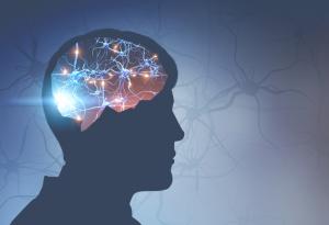 В човешкия мозък вероятно живеят бактерии