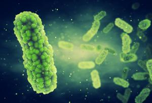 Нов уред засича бактерии за 30 минути