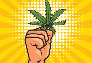 Как канабисът може да повлияе върху генетичния профил на спермата