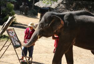 Животните: Необикновените художници