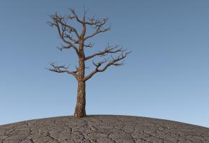 Начинът, по който използваме земята, задълбочава климатичната криза