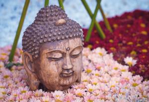 Учителите отварят вратата, но ти трябва да влезеш сам: 50 китайски мъдрости