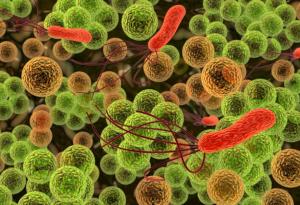 Ето как бактериите властват над нашето тяло