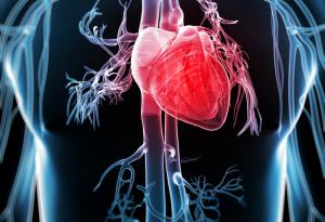 Нов обещаващ метод за борба със сърдечните болести