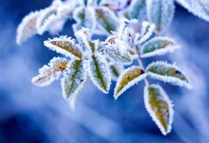 НАСА: Невиждан студ заплашва Земята