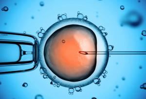 Нов репродуктивен метод подмладява старите яйцеклетки