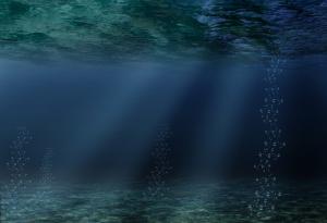 Увеличената киселинност на океаните