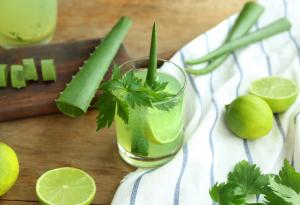 Най-популярните приложения на алое вера