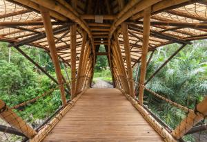 Джон Харди: Моята мечта за зелено училище