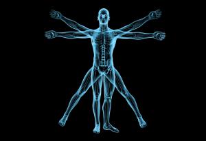 10 прости въпроса за човешкото тяло, на които науката още не може да отговори