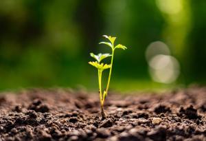 Паулу Коелю за успеха, напредъка и щастието