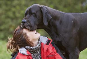 15 кучета, които дори не подозират какви гиганти са