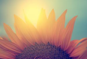 Има две гледни точки към света