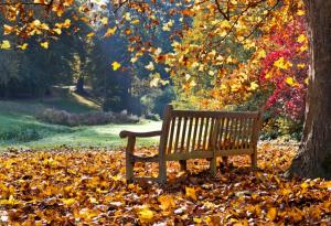 9 неща, които не знаехте за есента 