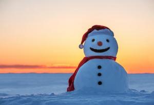 18 януари - Международен ден на снежния човек