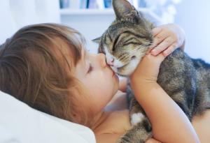 13 начина, по които котката ви казва: „Обичам те!“
