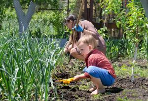 Притча за плевелите