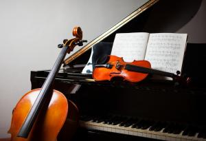 Виц: Музикални предпочитания