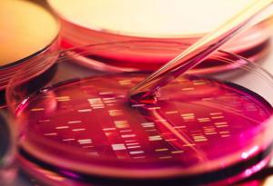 Тази малка ракета един ден може да вкарва лекарства или убива ракови клетки в тялото ви