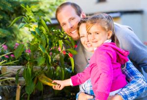 Умна градина превръща всеки в градинар