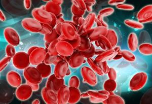 Създадоха най-тънкия изкуствен кръвоносен съд