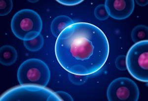 За първи път закодираха филм в ДНК на жива бактерия