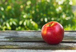 Притча: Светът е един, различен е погледът