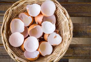 Няколко необикновени употреби на яйчените черупки