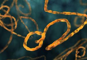 Япония внесе ебола и други опасни вируси, за да се подготви за олимпийските игри през 2020-а