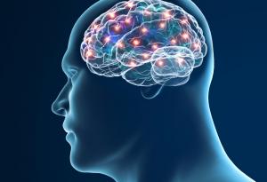 Изследователи са локализирали “превключвателя” в мозъка, който е отговорен за проблемите със социализирането при аутистите