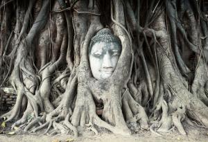 Това са едни от най-популярните статуи на Буда