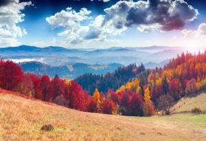 Всичко е по-красиво през есента и тези 21 фотографии го доказват