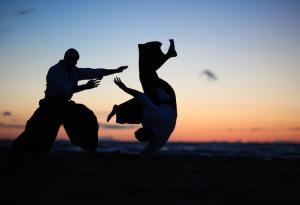 Виц: Научи ме на кунг фу!