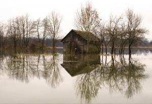 Мистерията на блатните хора от Сфангум