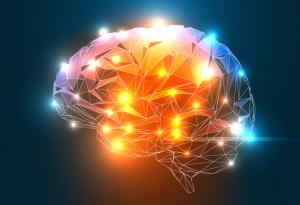 Мозъчната активност се засилва от нетипичните ситуации