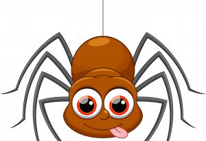 За паяците от друга гледна точка