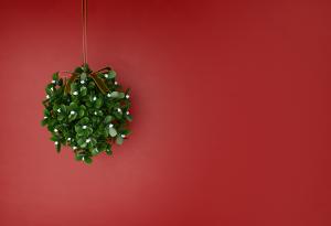 Легенди и поверия за имела