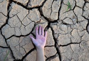 Голяма трансформация ще настъпи в екосистемите заради глобалното затопляне