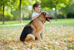Тази трогателна история за едно куче няма да ви остави равнодушни
