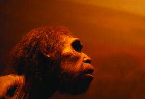 Харвардски професор търси доброволка, съгласна да роди неандерталец